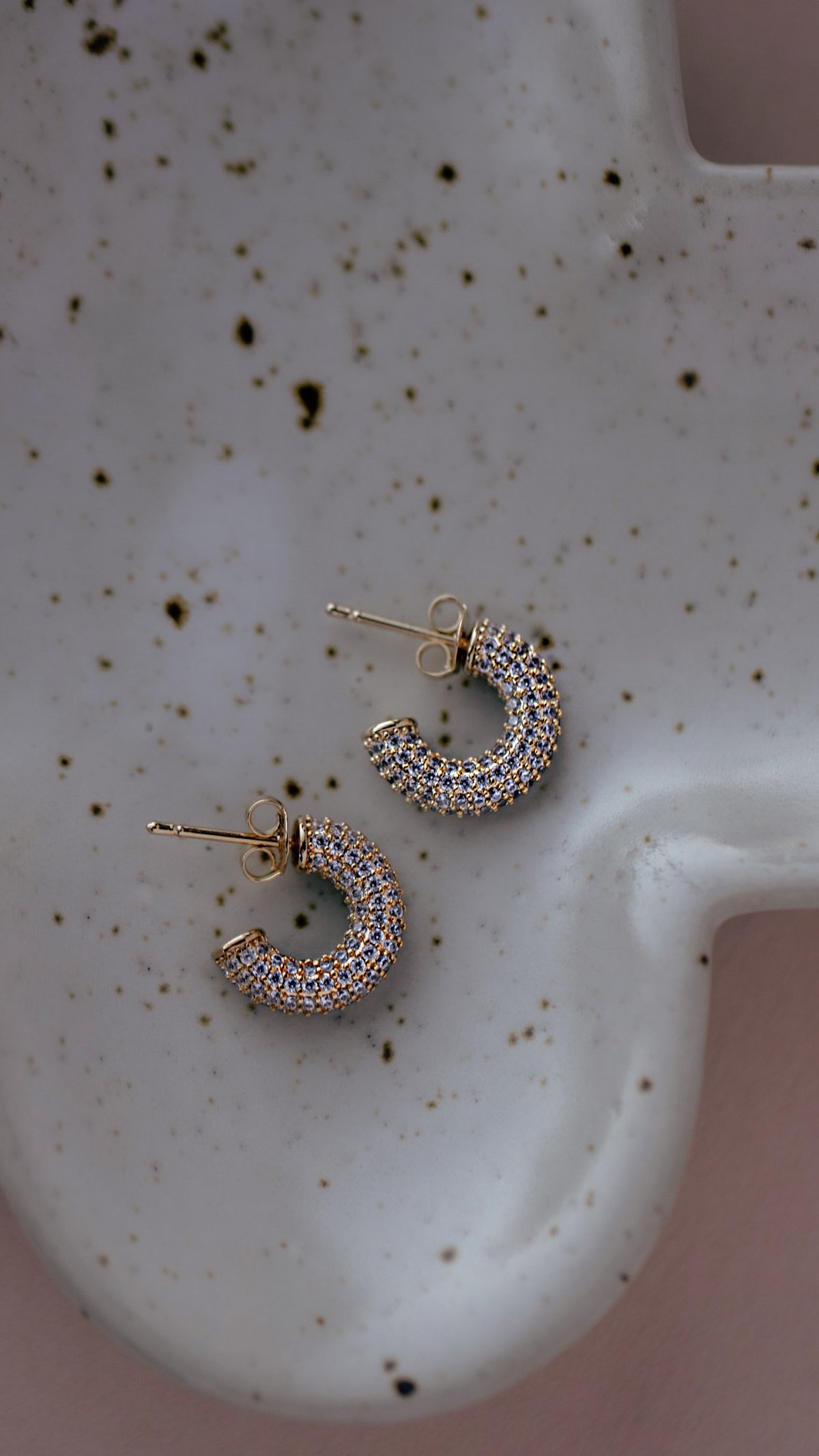 Iced Out Hoop Earrings