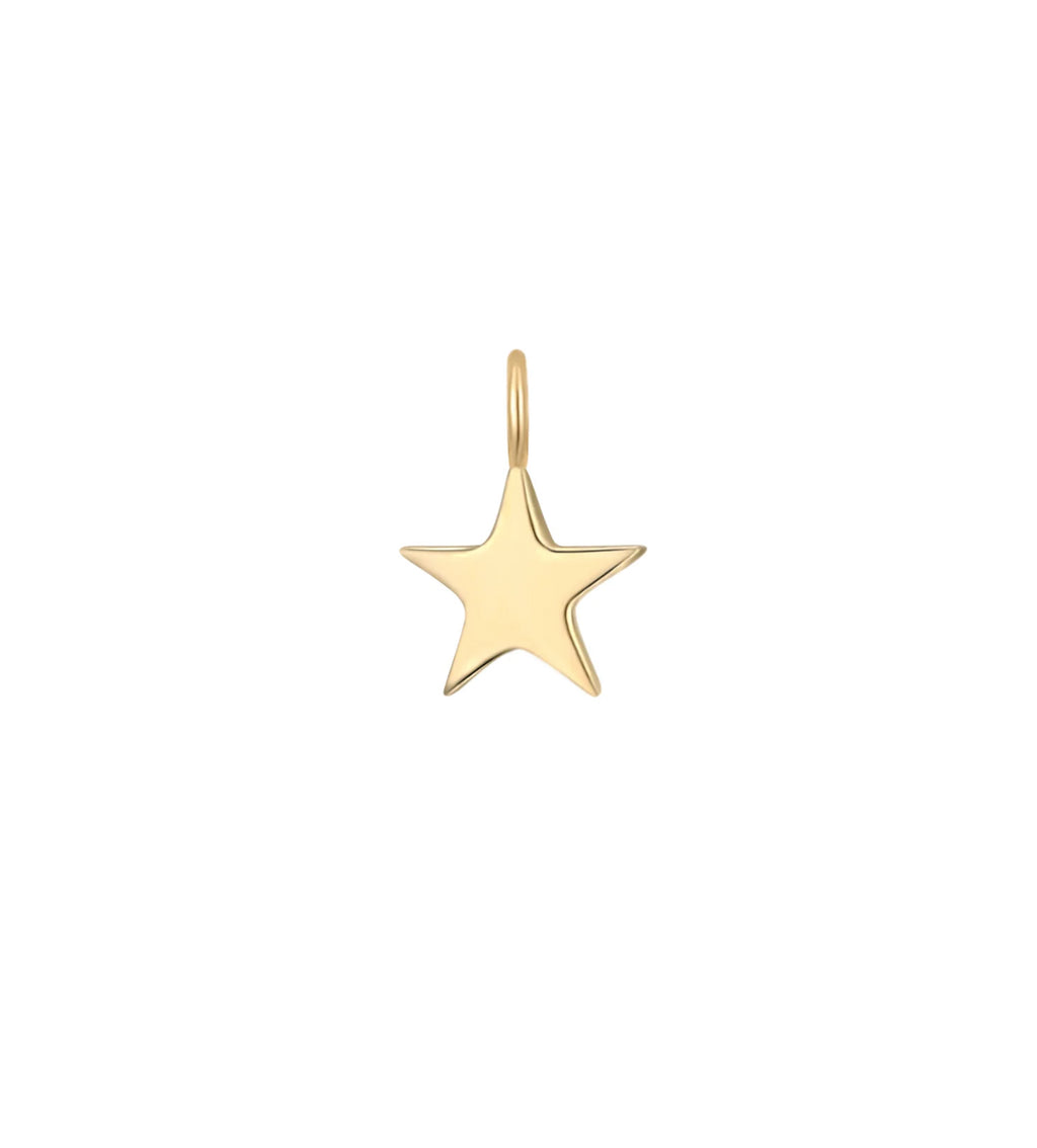 Solid Gold and Diamond Charms