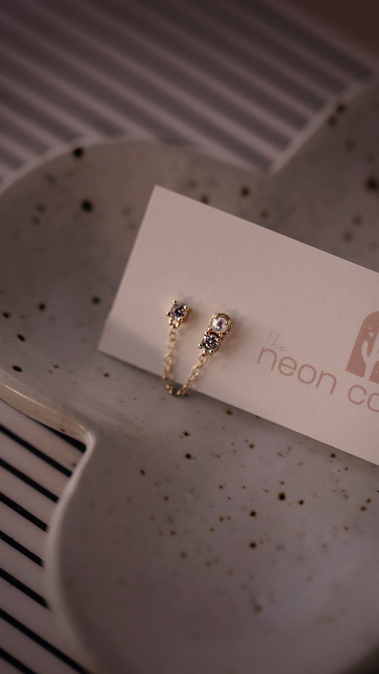 Double Stud Earrings