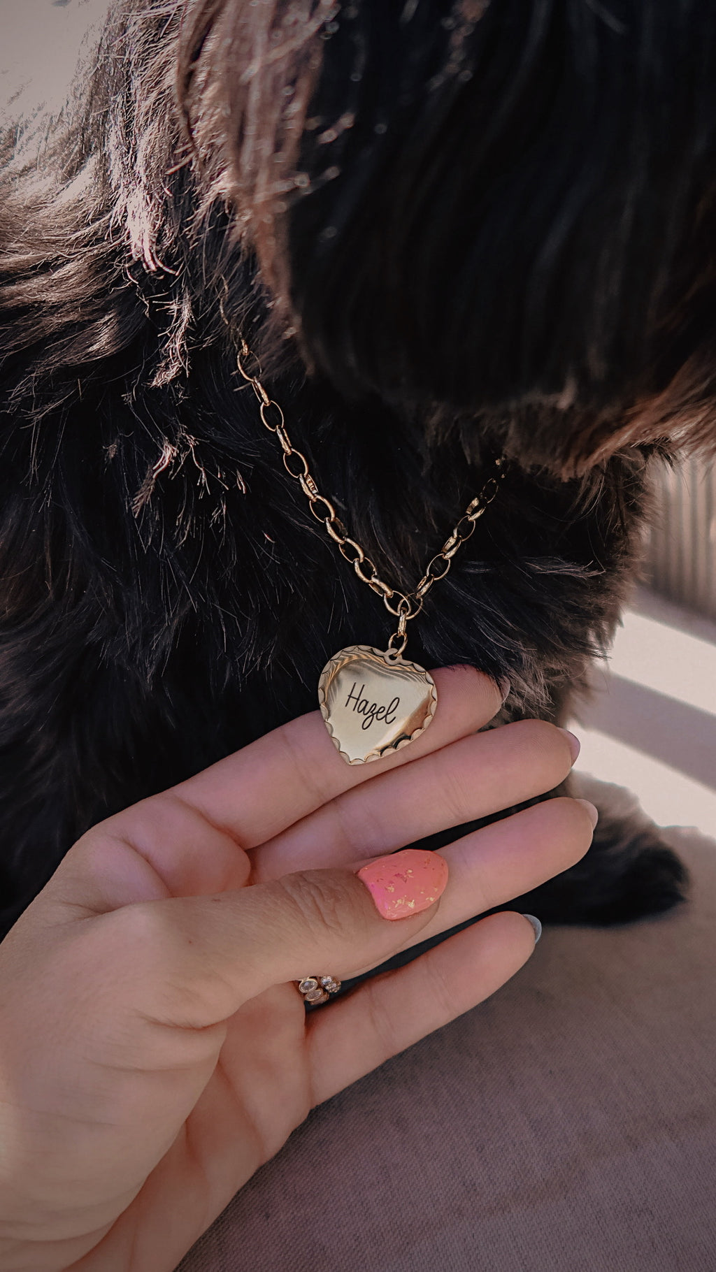 Scallop Heart Dog Tag
