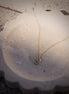 Puffy Mariner Charm Necklace