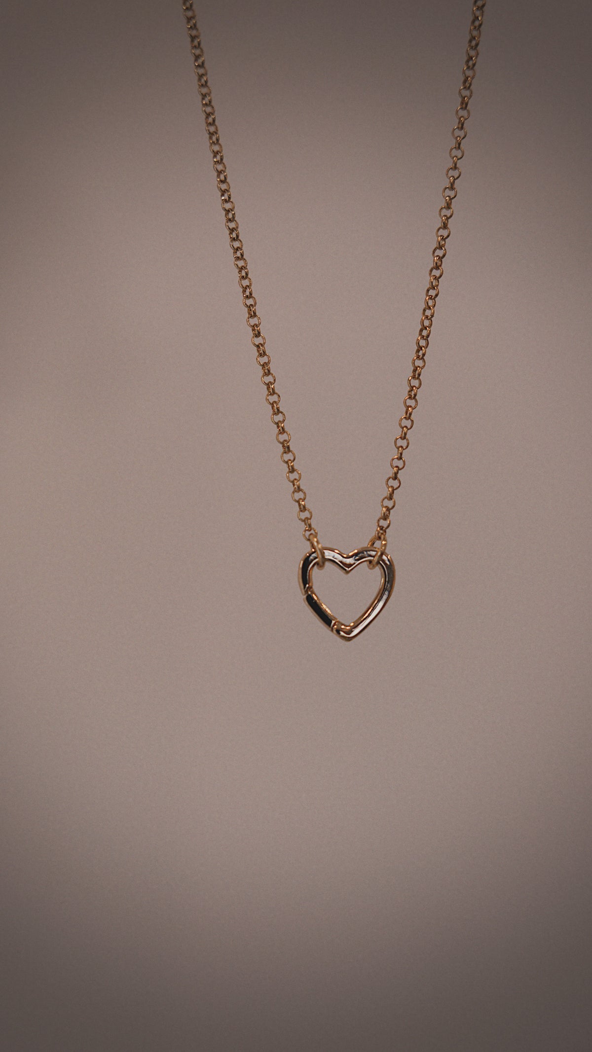 Heart Carabiner Necklace