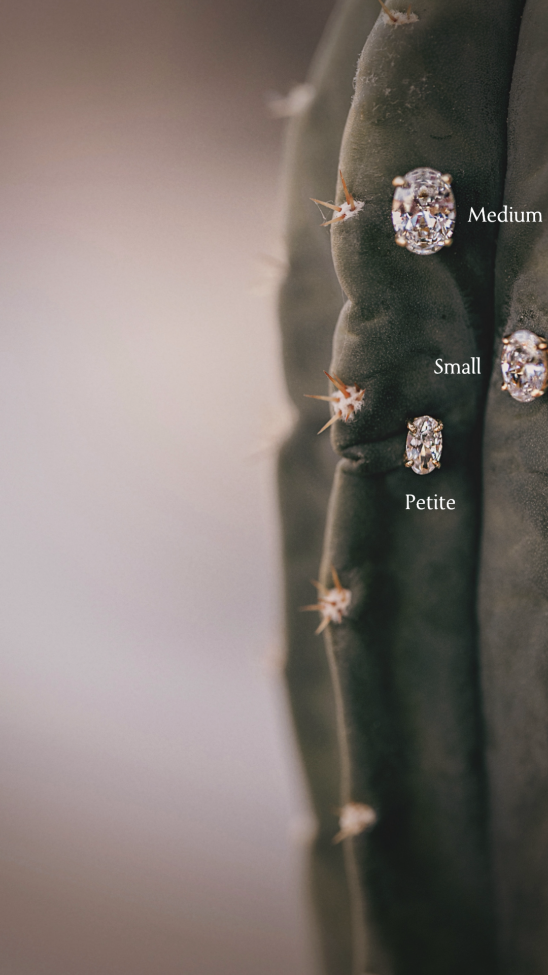 Oval CZ Studs