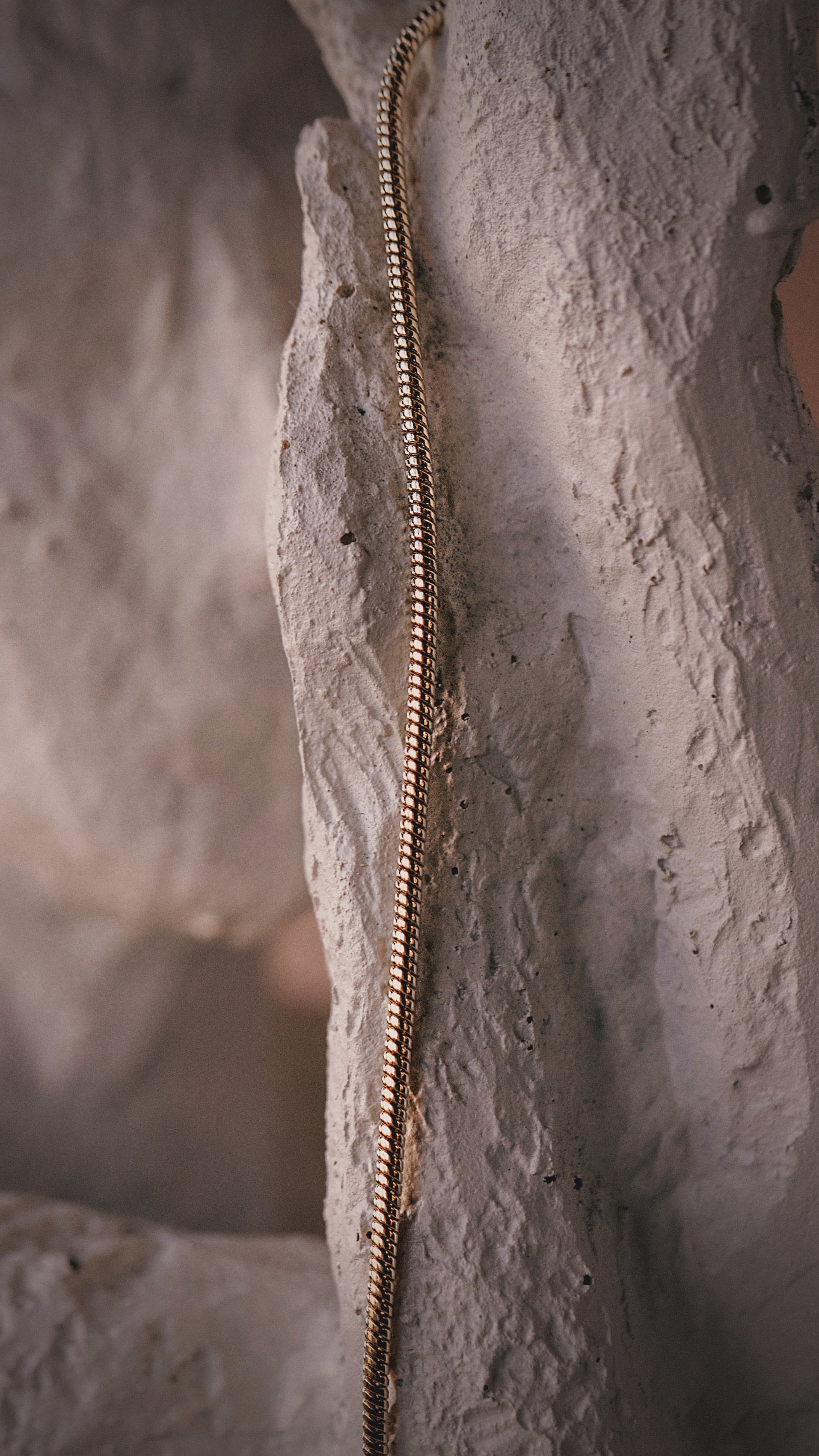 The Serpentina Necklace