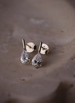 Everleigh Pear Drop Earring