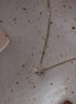 Mini Star Necklace