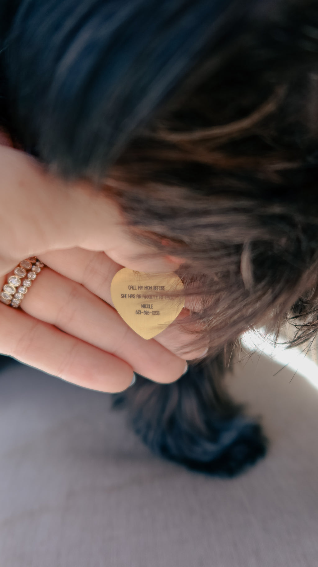 Scallop Heart Dog Tag