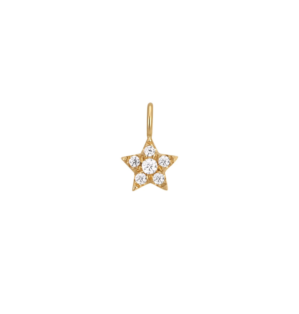 Solid Gold and Diamond Charms