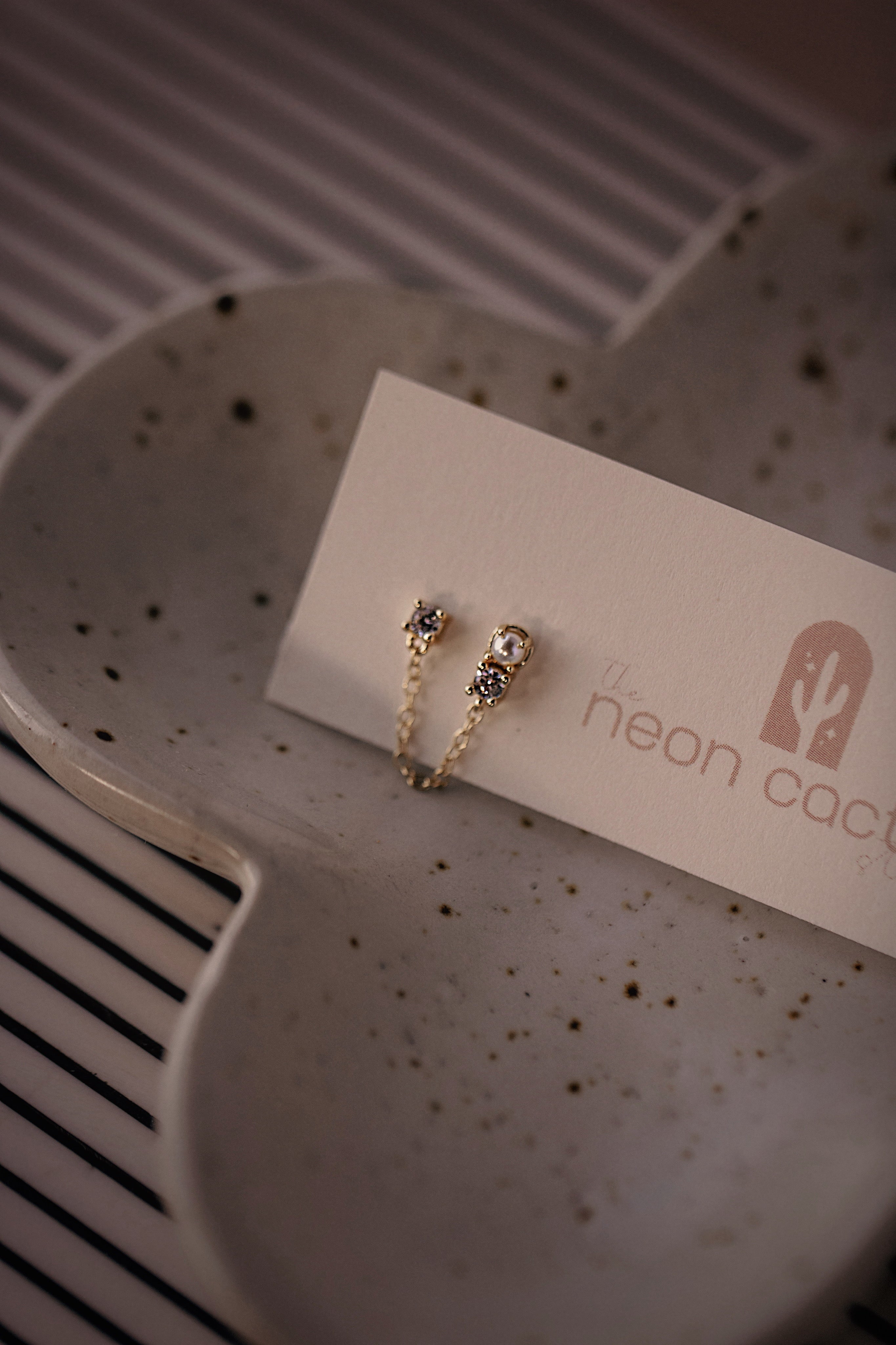 Double Stud Earrings