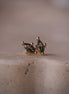 Noir Marquise Studs