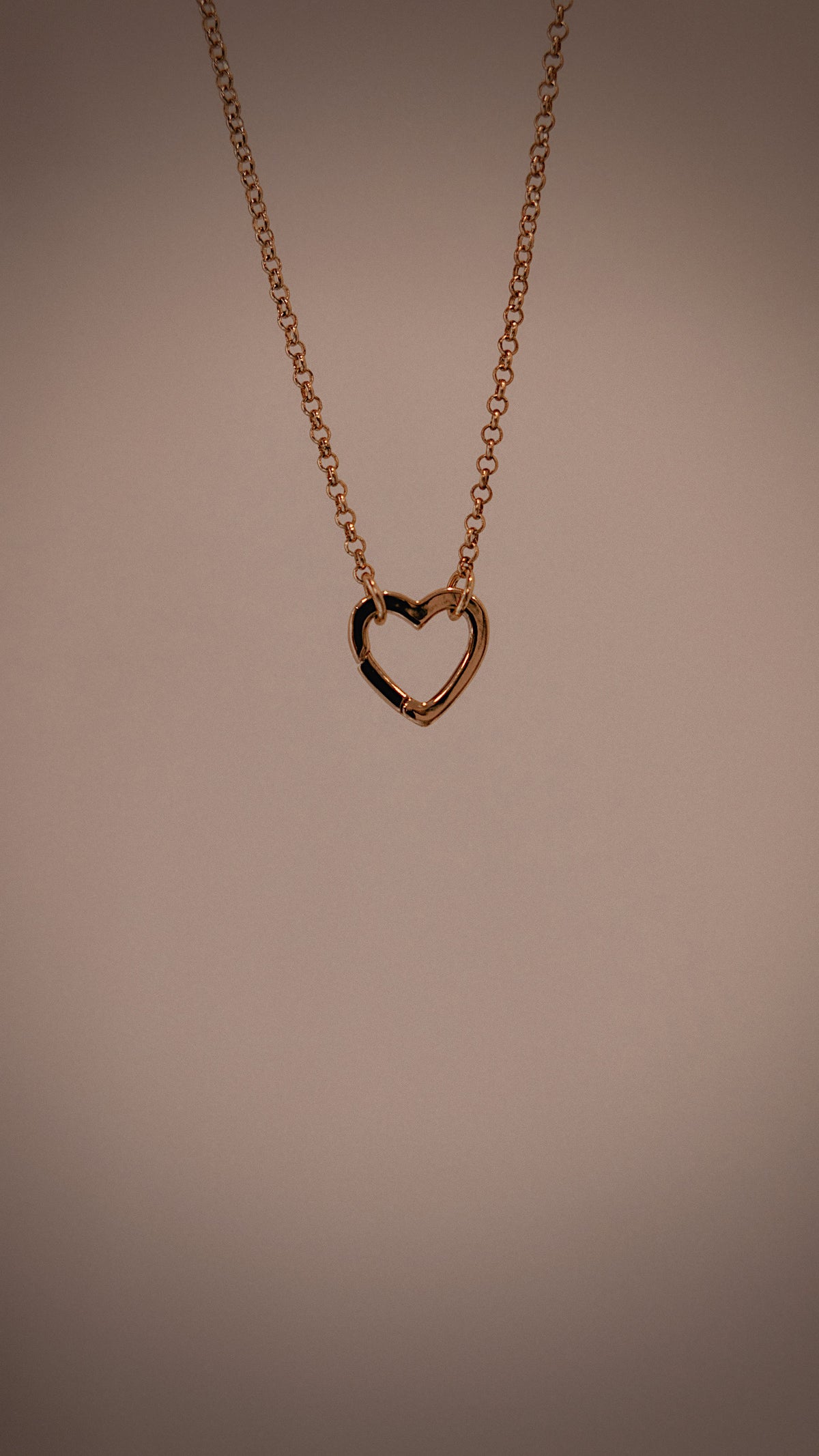 Heart Carabiner Necklace